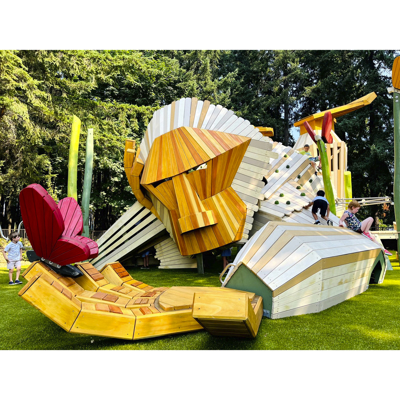 Picture of Commercial Climbing Holds & Playground Equipment
